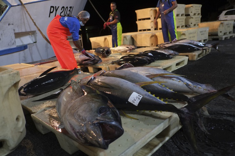 Un Campus des métiers et des qualifications de la mer en projet Un Campus des métiers et des qualifications de la mer en projet