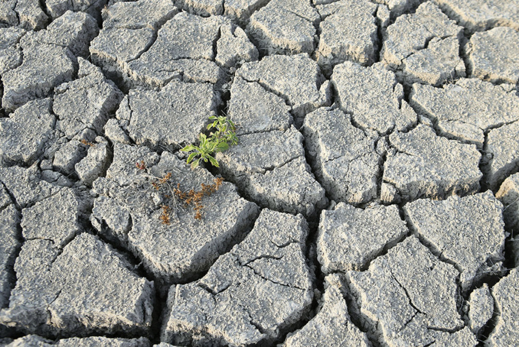 Pascal POCHARD-CASABIANCA / AFP Pascal POCHARD-CASABIANCA / AFP