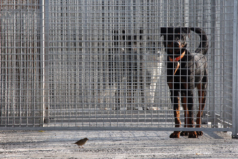 JOEL SAGET / AFP JOEL SAGET / AFP