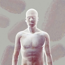 Variole du singe : quelle stratégie pour le pays Variole du singe : quelle stratégie pour le pays