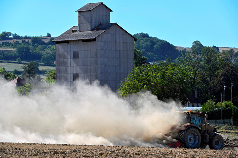 THIERRY ZOCCOLAN / Zoccolan / AFP