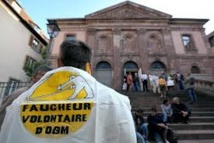 OGM: les professionnels demandent au gouvernement de sécuriser les champs expérimentaux OGM: les professionnels demandent au gouvernement de sécuriser les champs expérimentaux