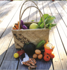 Laureline Raynaud, tisseuse d'e-liens Laureline Raynaud, tisseuse d'e-liens