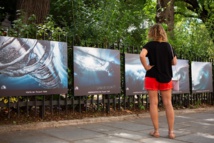 Teahupoo déferle sur Paris Teahupoo déferle sur Paris