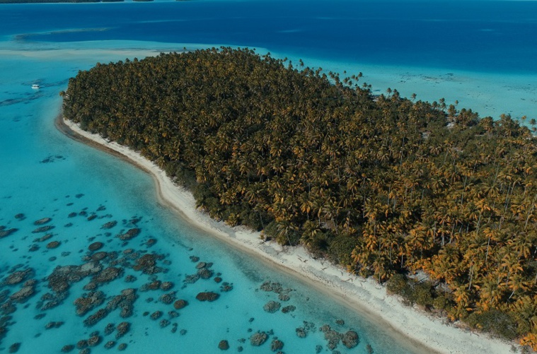 L'éradication inouïe du rat à Tetiaroa L'éradication inouïe du rat à Tetiaroa