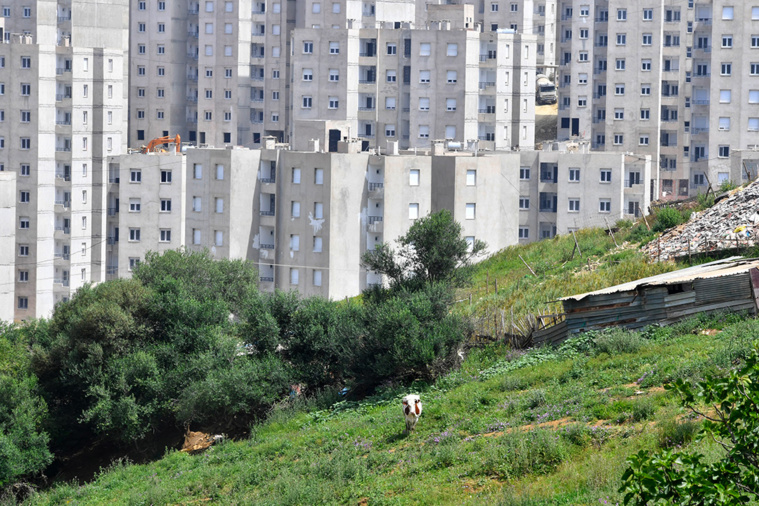 RYAD KRAMDI / AFP RYAD KRAMDI / AFP