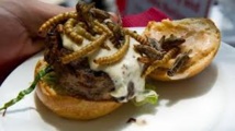 USA: hamburgers à la sauterelle et sucette au scorpion, pour la bonne cause