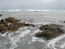 Hao (image d'illustration). Hao (image d'illustration).