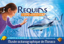 Musée océanographique de Monaco: des artistes chinois veulent réconcilier hommes et requins Musée océanographique de Monaco: des artistes chinois veulent réconcilier hommes et requins