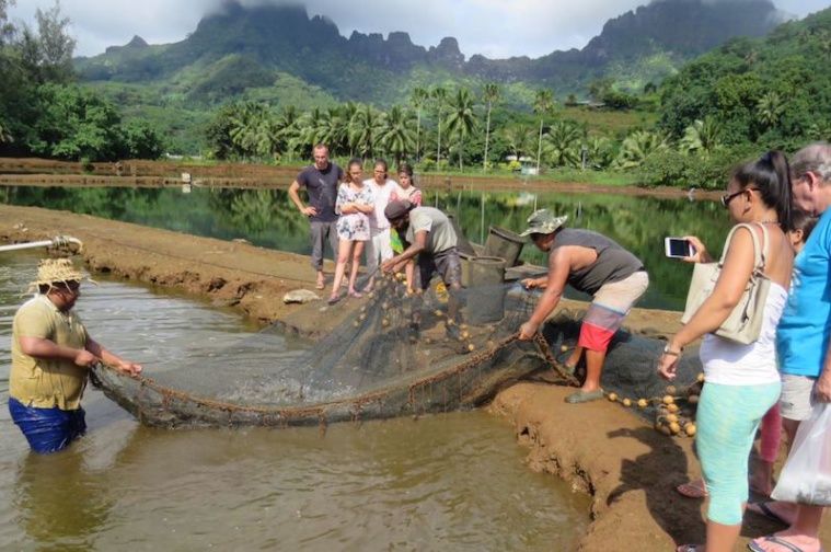 Un séminaire pour l'aquaculture Un séminaire pour l'aquaculture