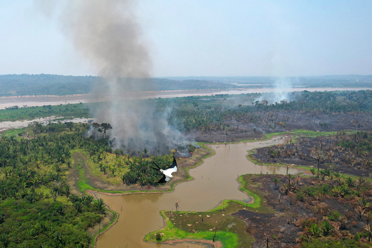 DOUGLAS MAGNO / AFP DOUGLAS MAGNO / AFP