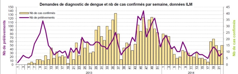 Chikungunya : retarder au maximum la propagation du virus Chikungunya : retarder au maximum la propagation du virus