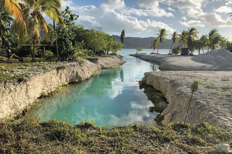 Premier revers juridique pour les opposants à Bora Yes Premier revers juridique pour les opposants à Bora Yes