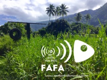 Fafaroots de retour sur les ondes Fafaroots de retour sur les ondes