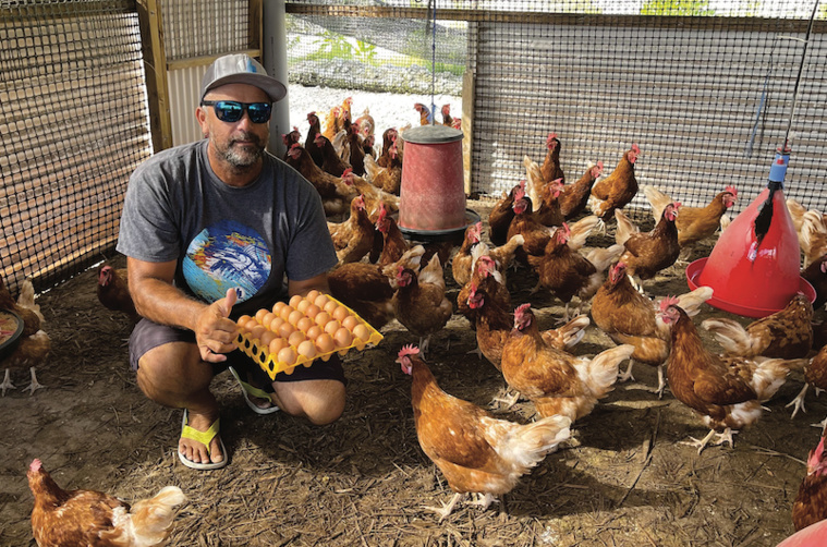 À Arutua, des poules, des arbres... et de l'audace À Arutua, des poules, des arbres... et de l'audace