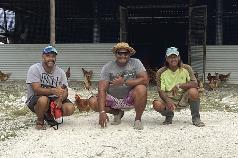 À Arutua, des poules, des arbres... et de l'audace À Arutua, des poules, des arbres... et de l'audace