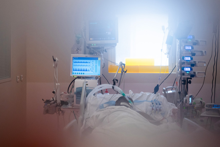 Crédit Carla BERNHARDT / AFP Crédit Carla BERNHARDT / AFP