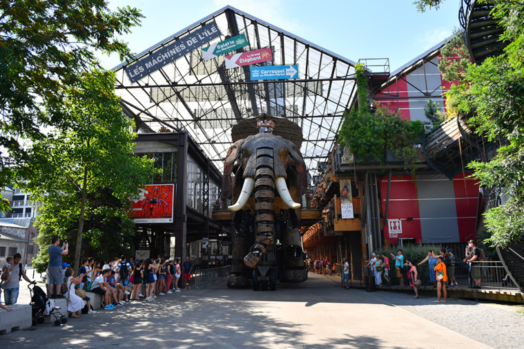 LOIC VENANCE / AFP LOIC VENANCE / AFP