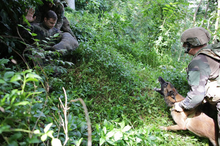 Le belvédère de Moorea pris d'assaut pour l'exercice Sauvages 2022 Le belvédère de Moorea pris d'assaut pour l'exercice Sauvages 2022