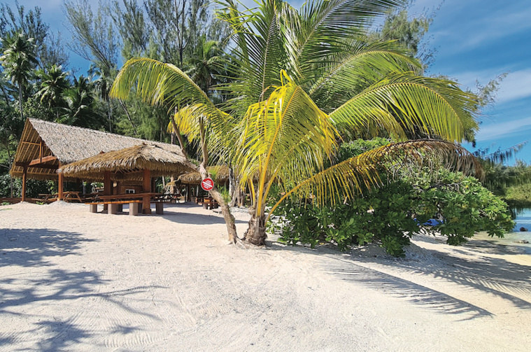 Travaux douteux sur le motu Moea à Moorea Travaux douteux sur le motu Moea à Moorea