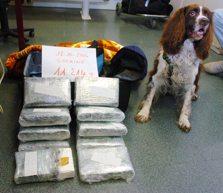 FRANCIS ROCHE / DOUANE FRANCAISE / AFP