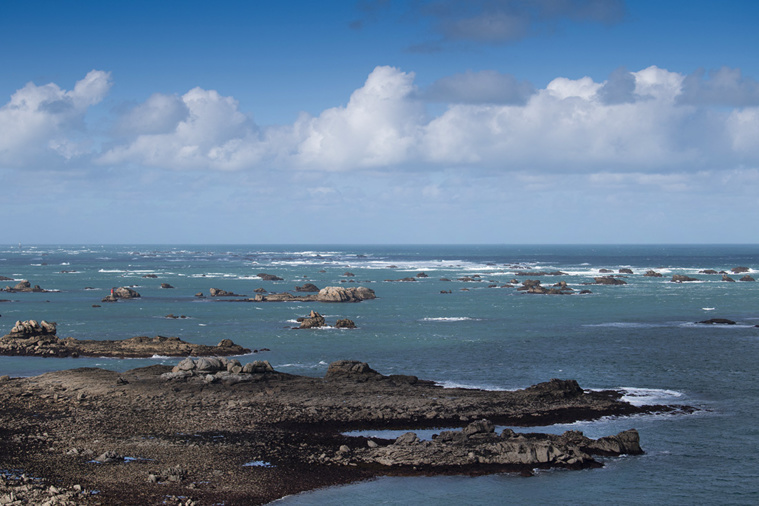 FRED TANNEAU / AFP FRED TANNEAU / AFP