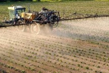 Les pesticides menacent les oiseaux et les vers de terre autant que les abeilles Les pesticides menacent les oiseaux et les vers de terre autant que les abeilles