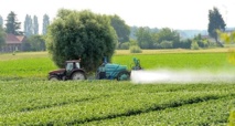 Les pesticides menacent les oiseaux et les vers de terre autant que les abeilles Les pesticides menacent les oiseaux et les vers de terre autant que les abeilles
