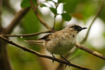 (crédit : Caroline Blanvillain) (crédit : Caroline Blanvillain)