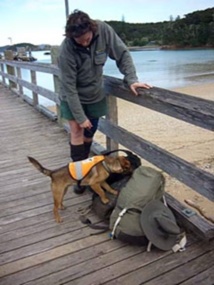 Le pihiti, fierté de Ua Huka, menacé par le rat noir Le pihiti, fierté de Ua Huka, menacé par le rat noir