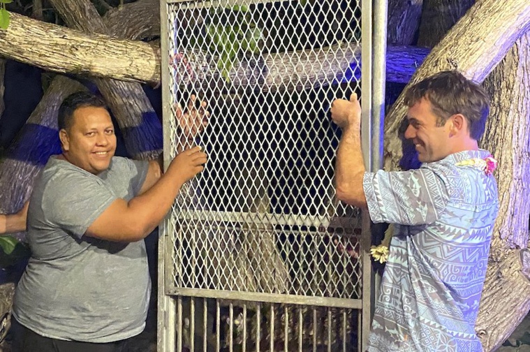 Des gabarits seront mis à disposition des pêcheurs pour respecter la taille minimale de 45 cm. Des gabarits seront mis à disposition des pêcheurs pour respecter la taille minimale de 45 cm.