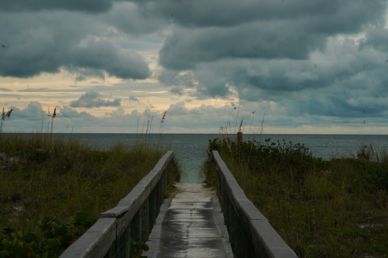Bryan R. Smith / AFP Bryan R. Smith / AFP