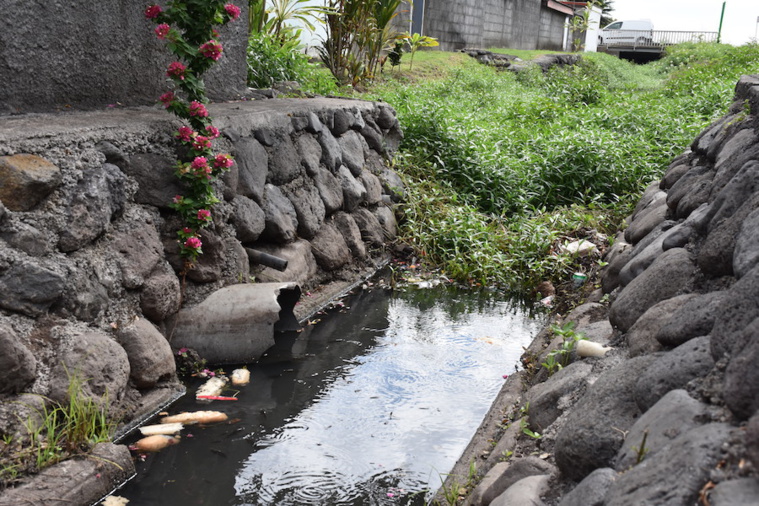 Paea épinglée par une association pour son émissaire polluant à Tiapa