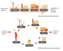 L’économie linéaire (traditionnelle) contre l’économie circulaire (durable)