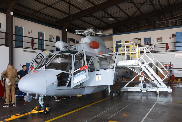 Un nouveau Dauphin sur le Prairial Un nouveau Dauphin sur le Prairial