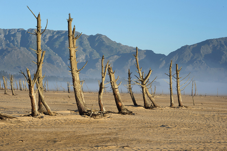 Crédit Rodger BOSCH / AFP