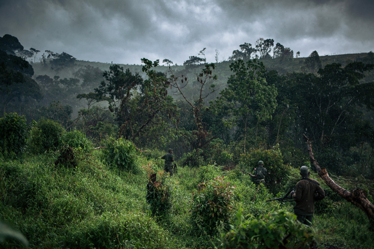 Crédit ALEXIS HUGUET / AFP Crédit ALEXIS HUGUET / AFP