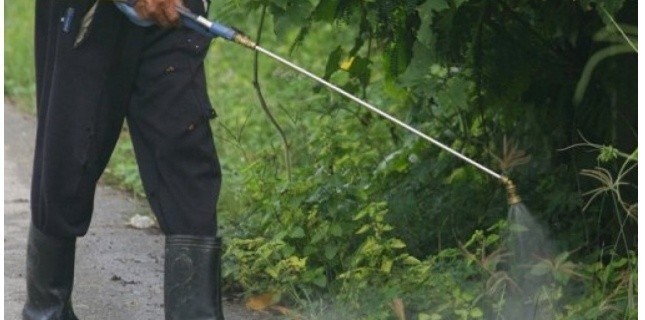 Agriculture: restreindre l'épandage des pesticides près des écoles
