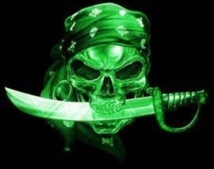 Un hacker extradé d'Allemagne plaide coupable à New York