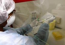 Aux Etats-Unis, un laboratoire fédéral mélange des échantillons de grippes aviaires