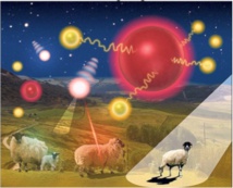 Une série d'incidents impliquant des agents biologiques dangereux aux Etats-Unis Une série d'incidents impliquant des agents biologiques dangereux aux Etats-Unis