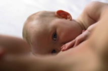 Le co-dodo, premier facteur de risque de mort subite chez les nourrissons Le co-dodo, premier facteur de risque de mort subite chez les nourrissons