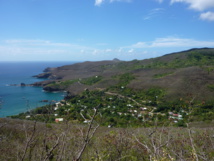 Faux Acacia à Ua Pou dans la vallée de Hakahetau Faux Acacia à Ua Pou dans la vallée de Hakahetau