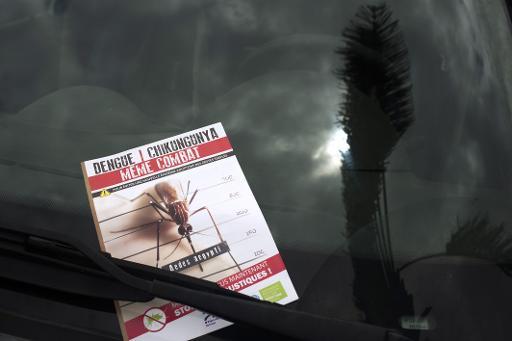 Antilles: le chikungunya pris en charge à 100%, l'épidémie grimpe à 115.000 cas