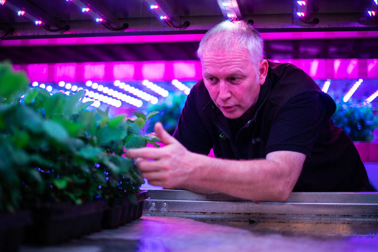 Crédit Andy Buchanan / AFP Crédit Andy Buchanan / AFP