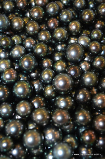 Perles de Tahiti : plus de 700 000 pièces à céder aux enchères de juillet Perles de Tahiti : plus de 700 000 pièces à céder aux enchères de juillet