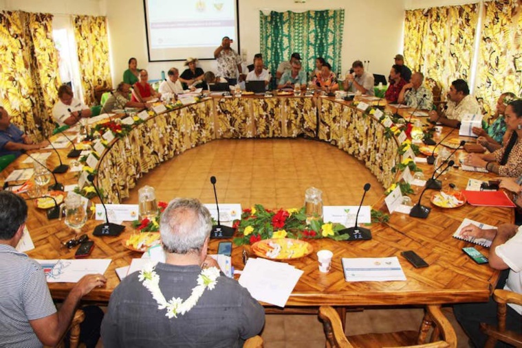 Les membres du Comité d’orientation stratégique de Moorea étaient réunis samedi à la mairie de Teavaro, en présence de représentants du Pays, de la commune, de la société civile et d'associations.