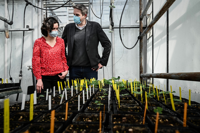 Philippe LOPEZ / AFP