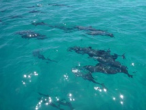 Photo : Commune de Moorea-Maiao Photo : Commune de Moorea-Maiao