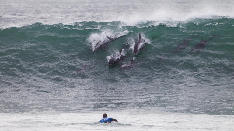 Le swell est revenu après l'élimination de Michel Bourez © ASP copie Le swell est revenu après l'élimination de Michel Bourez © ASP copie